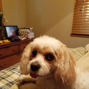 Meet your Posher, Sandra